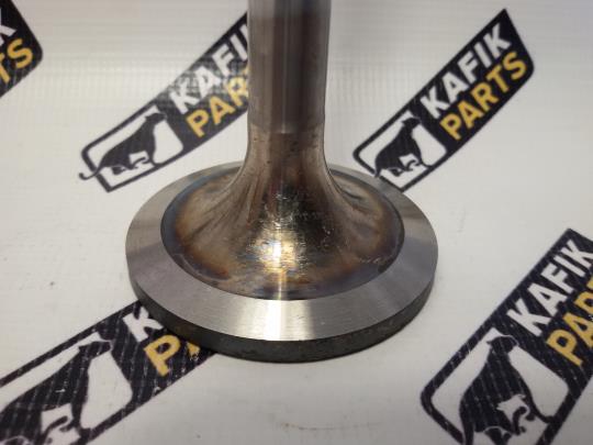 Клапан впускной Renault Magnum E-TECH 400, 440, 480. PAI 5010284847, EVA-81370