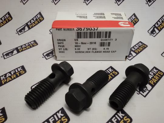 Блок циліндрів двигуна - комплект Cummins ISX, QSX115 4376170, 4298515, 4955502, 4089161, 3800452, 3680900, 4309390, 2882088, 3683646, 3682862, 4059205, 4026532, 3681203, 3681152, 3683265 
