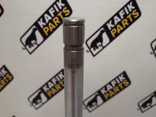 Клапан впускний Renault Magnum AE 390, 430, 470. PAI 5010284805, 7425502377, 5010284698, EM81350