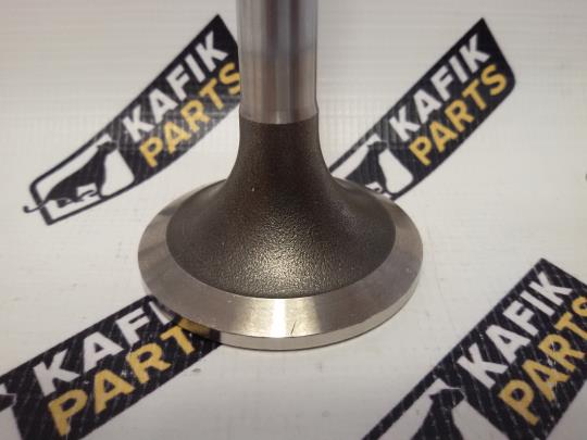 Клапан випускний Renault Magnum E-TECH 400, 440, 480, PAI 5010284848, EVA-81470