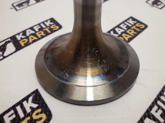 Клапан впускний Renault Magnum AE 390, 430, 470. PAI 5010284805, 7425502377, 5010284698, EM81350