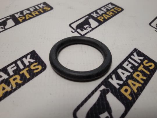 Уплотнительное кольцо Cummins ISX15, QSX15 4965731