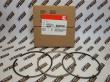 Комплект поршня двигателя Cummins M11, ISM, QSM11 4089865, 3103752